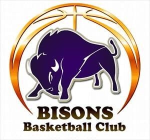 Bisons