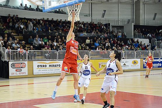 Basketball NI